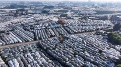 标领取政策激励双向发力 