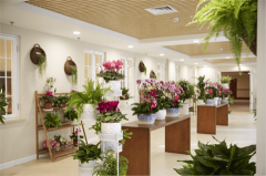 让正在享受普惠价钱的同时