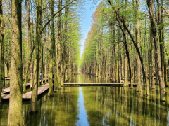 打卡回车巷、慈禧行宫等景